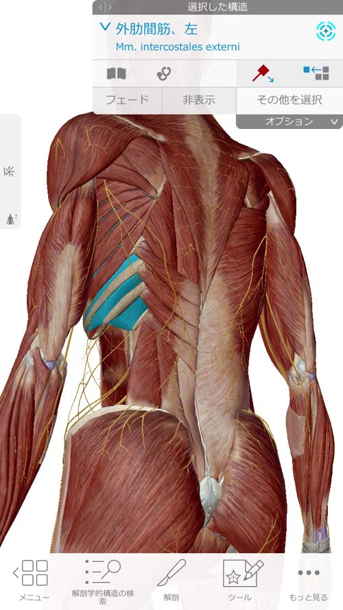 くしゃみで「ぎっくり腰」になった際の治療-広島で腰痛-ぎっくり腰の治療で有名な整体広島眞田流の実例4
