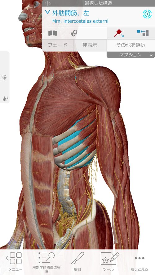 くしゃみで「ぎっくり腰」になった際の治療-広島で腰痛-ぎっくり腰の治療で有名な整体広島眞田流の実例5