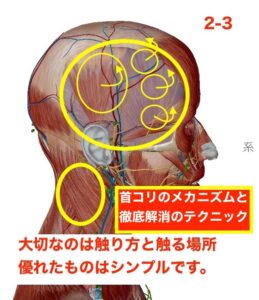ヘッドスパの極上テクニック2首コリ解消ポイント解説図