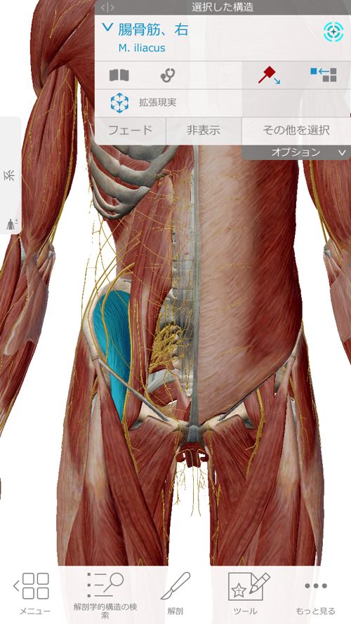 ヘルニアと坐骨神経痛の腰の痛みと足の痺れ_足に力が入らない原因と治療方法_広島_腰痛ヘルニア治療で有名な整体院
