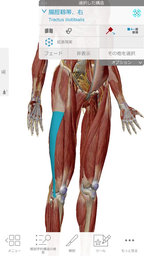 ヘルニアと坐骨神経痛の腰の痛みと足の痺れ_足に力が入らない原因と治療方法_広島_腰痛ヘルニア治療で有名な整体院