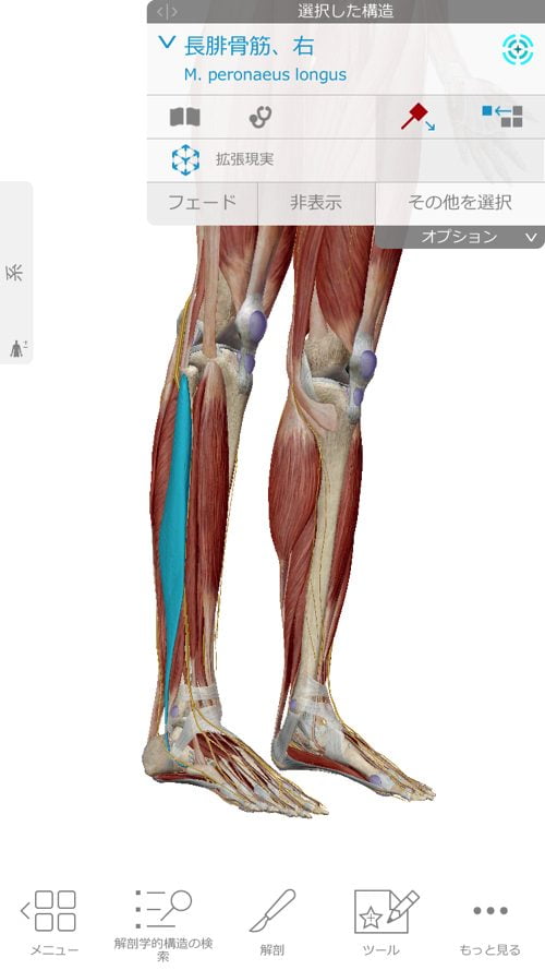 ヘルニアと坐骨神経痛の腰の痛みと足の痺れ_足に力が入らない原因と治療方法_広島_腰痛ヘルニア治療で有名な整体院