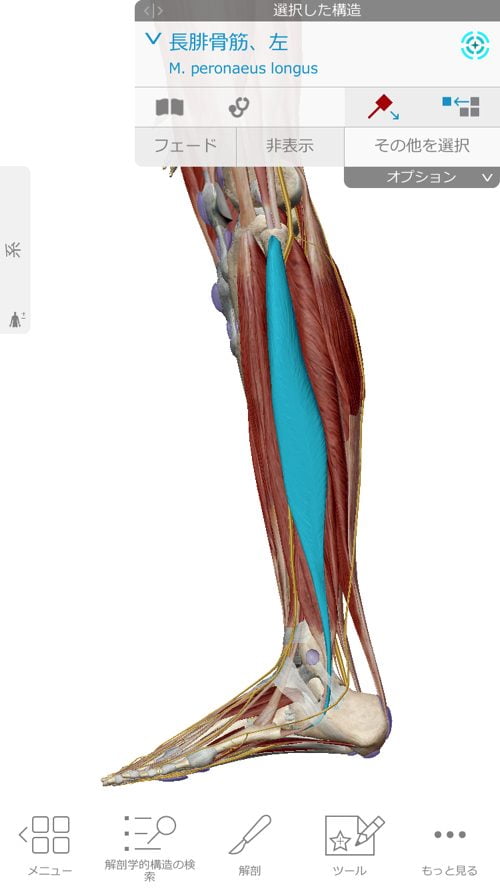 ヘルニアは誤診か-ヘルニア手術失敗か-ヘルニア手術で歩けなくなった女性の回復施術10