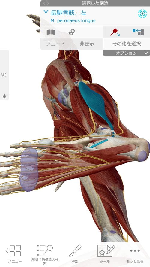 ヘルニアは誤診か-ヘルニア手術失敗か-ヘルニア手術で歩けなくなった女性の回復施術11