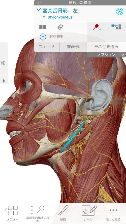 広島-整体院_三叉神経痛や顔面神経痛を手術せずにマッサージで治療