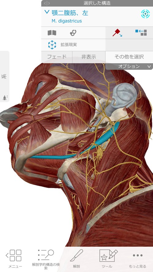広島-整体院_三叉神経痛や顔面神経痛を手術せずにマッサージで治療
