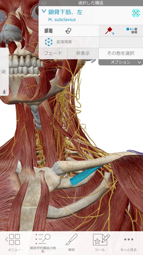 広島-整体院_三叉神経痛や顔面神経痛を手術せずにマッサージで治療