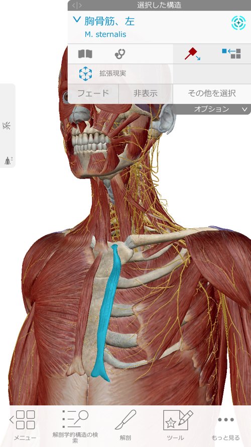 広島-整体院_三叉神経痛や顔面神経痛を手術せずにマッサージで治療