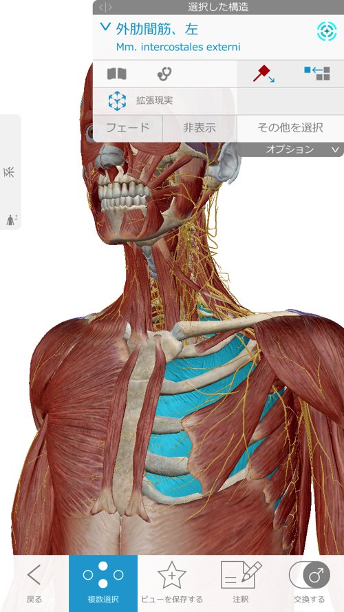 広島-整体院_三叉神経痛や顔面神経痛を手術せずにマッサージで治療