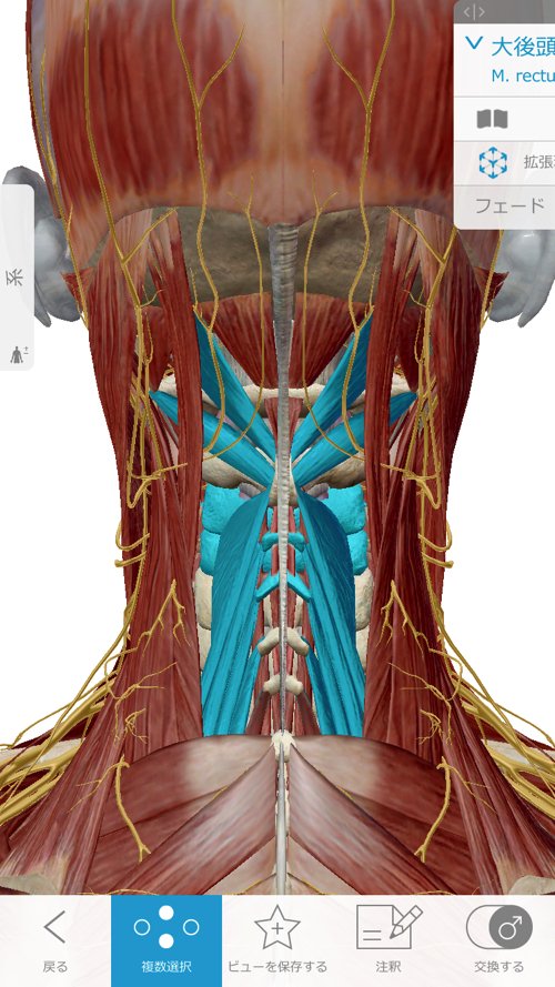 広島-整体院_三叉神経痛や顔面神経痛を手術せずにマッサージで治療