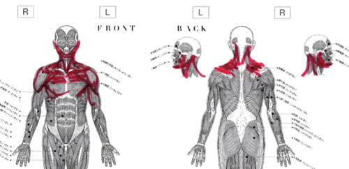 広島-整体院_三叉神経痛や顔面神経痛を手術せずにマッサージで治療