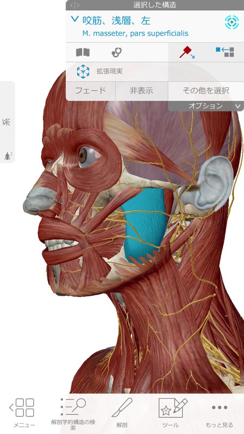 広島-整体院_三叉神経痛や顔面神経痛を手術せずにマッサージで治療