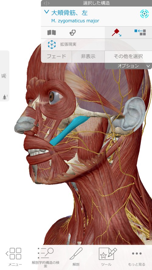 広島-整体院_三叉神経痛や顔面神経痛を手術せずにマッサージで治療
