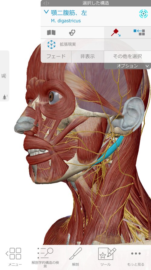 広島-整体院_三叉神経痛や顔面神経痛を手術せずにマッサージで治療