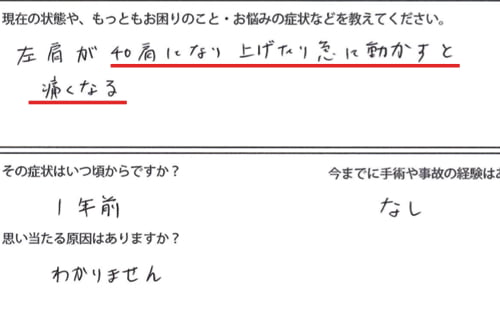 広島_肩の痛みを治す-四十肩治療で有名な整体院