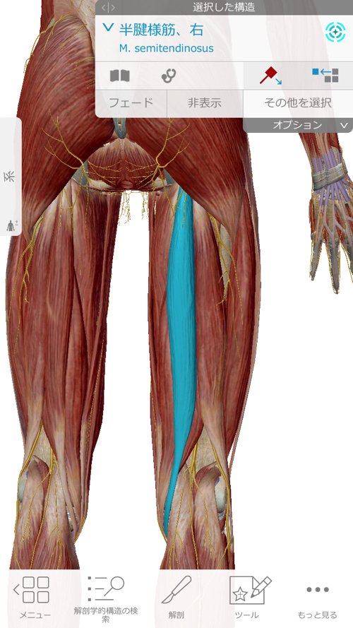 広島_腰痛クチコミ_ぎっくり腰を治す