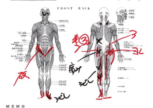広島で椎間板ヘルニアの治療で有名な整体院の記録-腰の痛みが消えて治った例10
