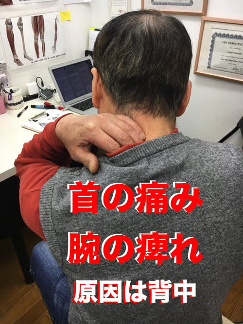 広島で肩と首の痛みの原因と治し方_寝違えや腕の痺れをすぐに治す整体院