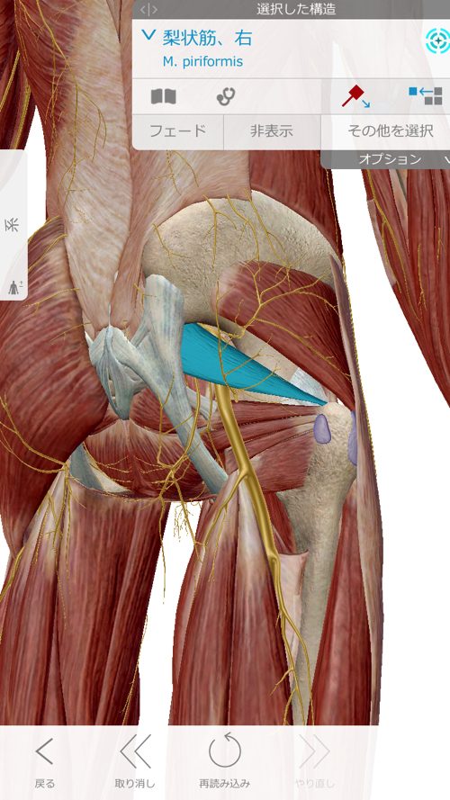 広島で椎間板ヘルニアの治療で有名な整体院-整体広島眞田流-治った例2