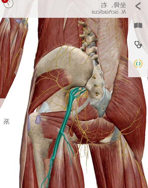 広島で椎間板ヘルニアの治療で有名な整体院-整体広島眞田流-治った例3-e1509226944274