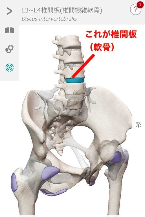 広島で椎間板ヘルニアの治療で有名な整体院の記録-腰の痛みが消えて治った例11