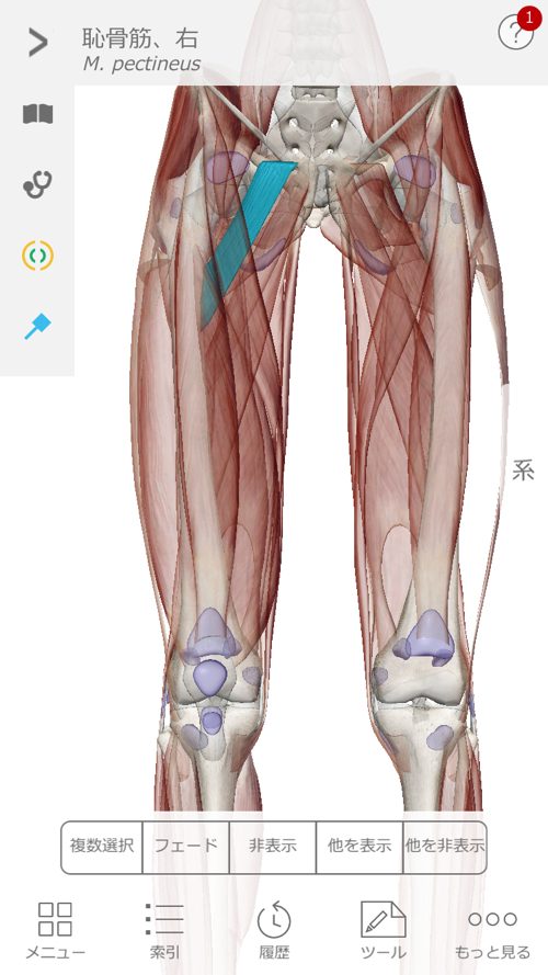 広島で椎間板ヘルニアの治療で有名な整体院の記録-腰の痛みが消えて治った例12