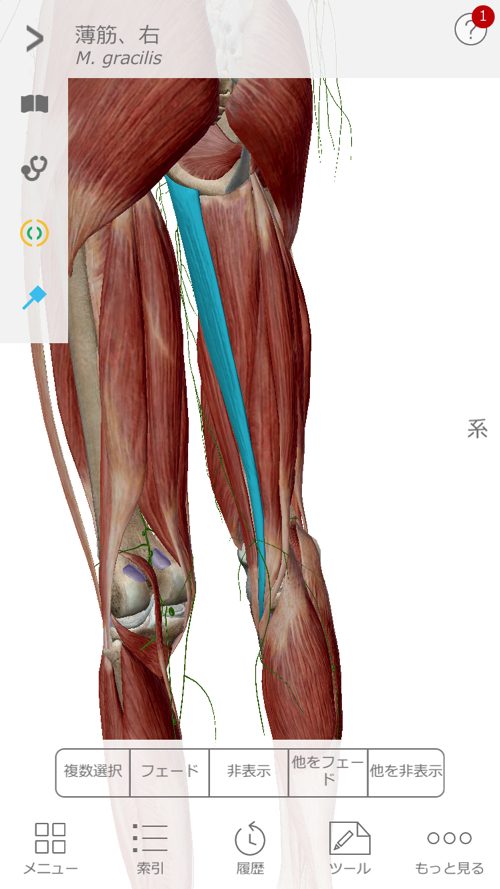 広島で椎間板ヘルニアの治療で有名な整体院の記録-腰の痛みが消えて治った例13