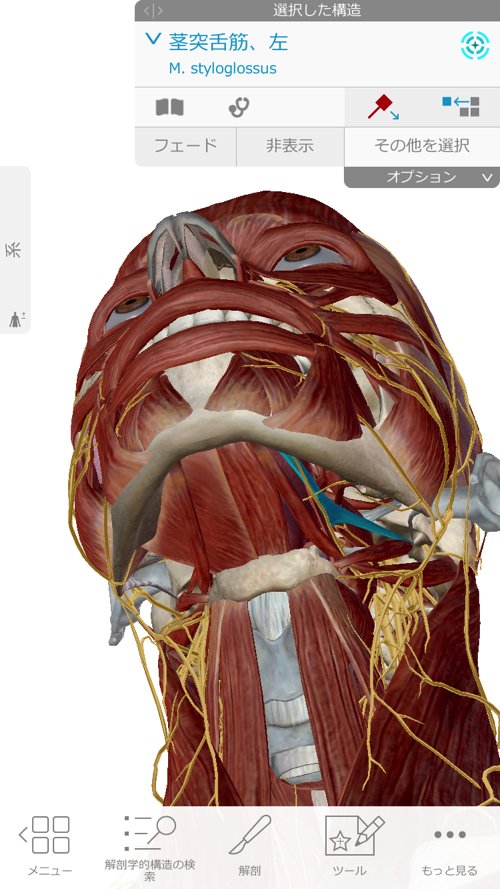 広島の肩の痛みを治す専門院-四十肩治療で有名な整体院
