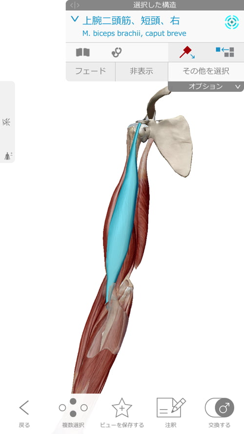 広島の肩の痛みを治す専門院-四十肩治療で有名な整体院
