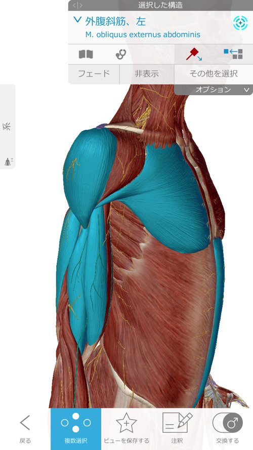 広島の肩の痛みを治す専門院-四十肩治療で有名な整体院