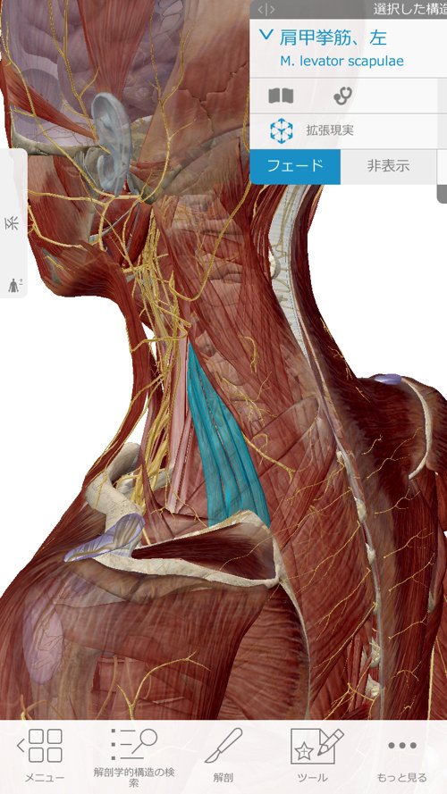 広島の肩の痛みを治す専門院-四十肩治療で有名な整体院