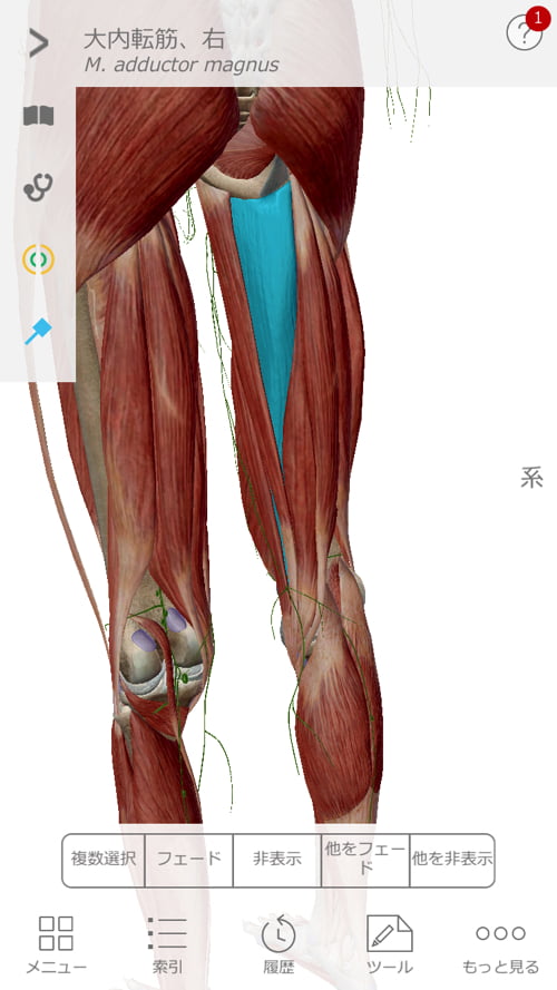 整形外科ではヘルニアと診断された産後腰痛_ブロック注射が効かない腰の痛み