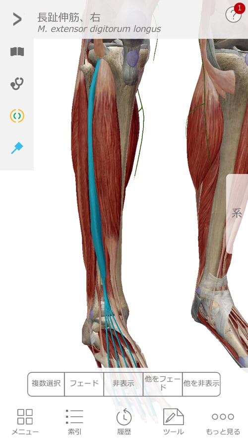 整形外科で治らない脊柱管狭窄症の原因と治療方法解説-広島の整体院の治った例