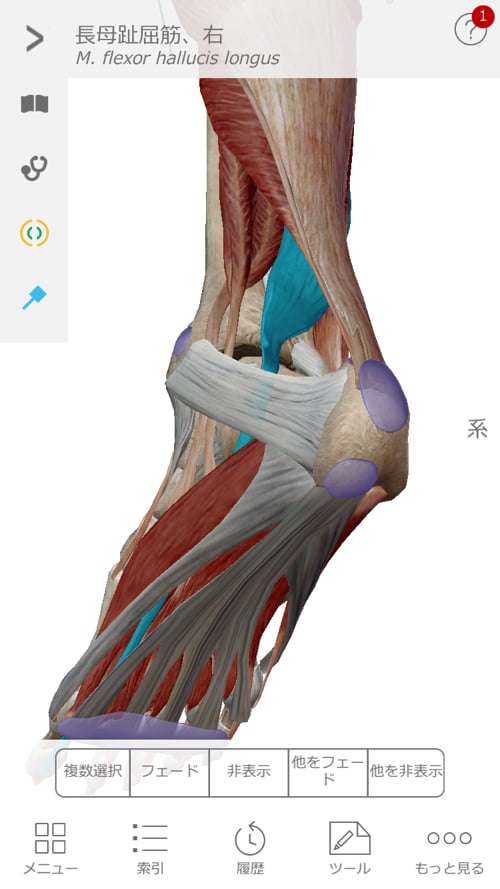 整形外科で治らない脊柱管狭窄症の原因と治療方法解説-広島の整体院の治った例