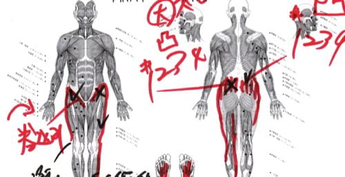 椎間板ヘルニアと脊椎狭窄症の原因と治療方法-広島で椎間板ヘルニア治療で有名な整体院の記録5