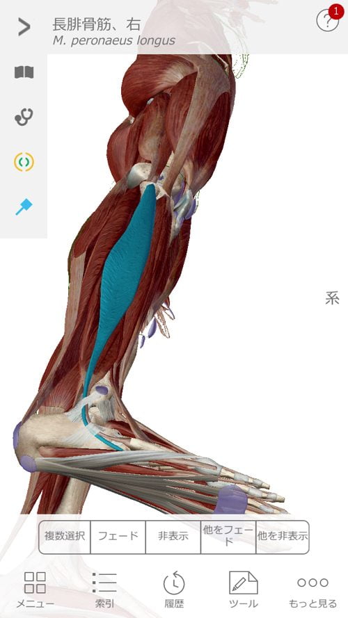 立ち上がる際に腰に痛みの原因と治療方法_ぎっくり腰をすぐに治す