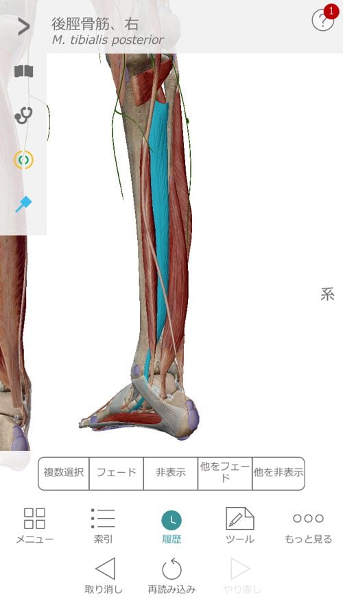 立ち上がる際に腰に痛みの原因と治療方法_ぎっくり腰をすぐに治す
