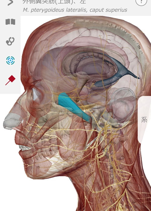 首のコリ_目の奥が痛い_原因と治し方_治療方法_広島の整体院の実例