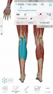 膝軟骨損傷の膝の内側の痛み治療場所6